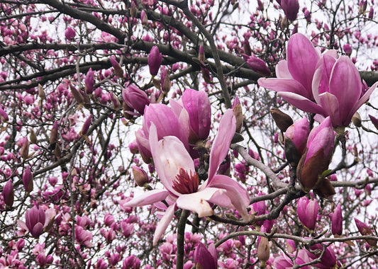 My Practical Guide To Creative Bravery